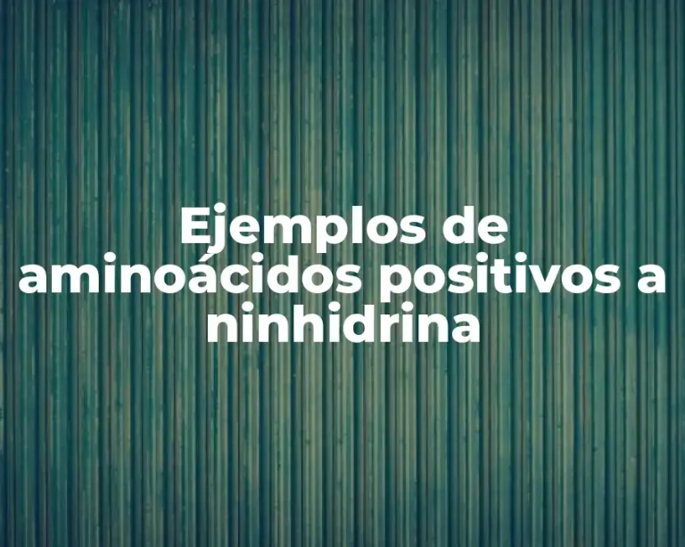Ejemplos de aminoácidos positivos a ninhidrina