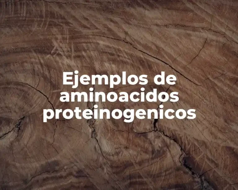 Ejemplos de aminoacidos proteinogenicos