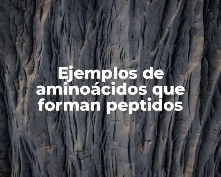 Ejemplos de aminoácidos que forman peptidos