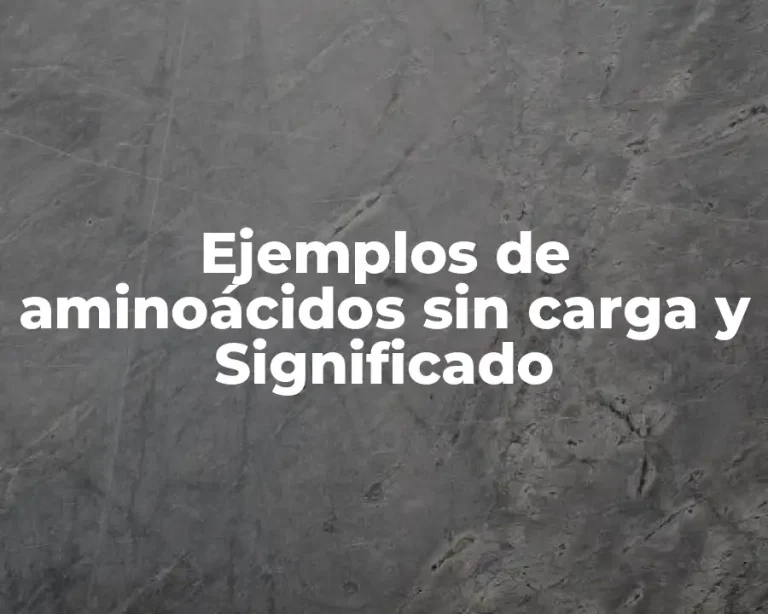 Ejemplos de aminoácidos sin carga y Significado