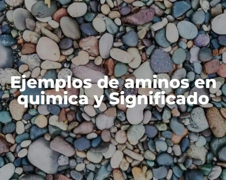 Ejemplos de aminos en quimica y Significado