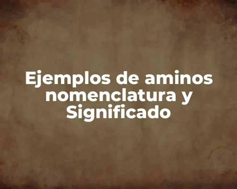 Ejemplos de aminos nomenclatura y Significado