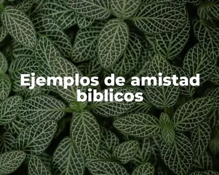 Ejemplos de amistad biblicos