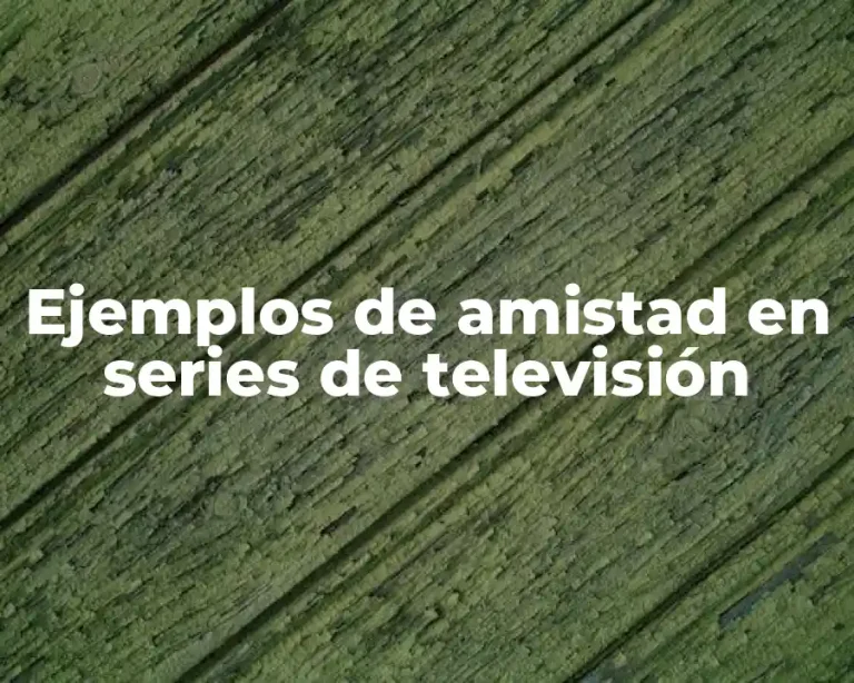 Ejemplos de amistad en series de televisión