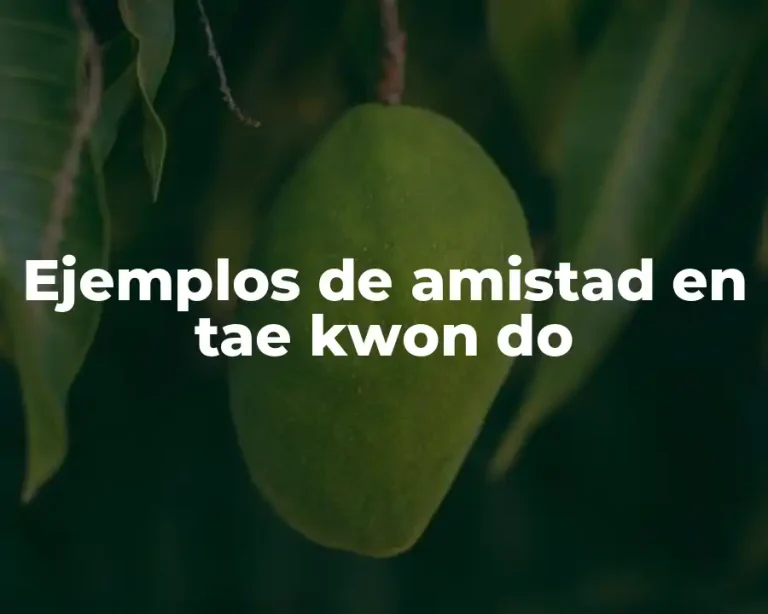 Ejemplos de amistad en tae kwon do