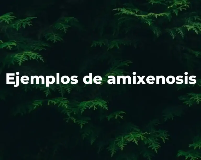 Ejemplos de amixenosis