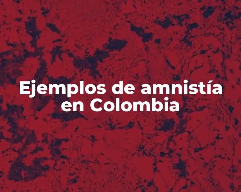Ejemplos de amnistía en Colombia