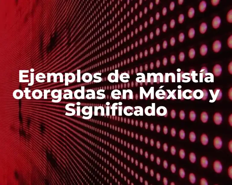 Ejemplos de amnistía otorgadas en México y Significado