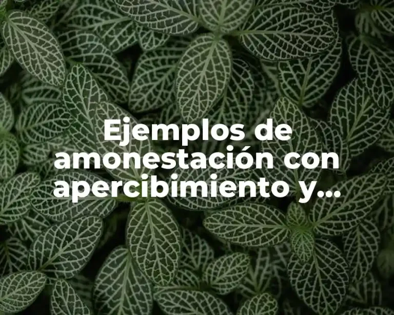 Ejemplos de amonestación con apercibimiento y Significado