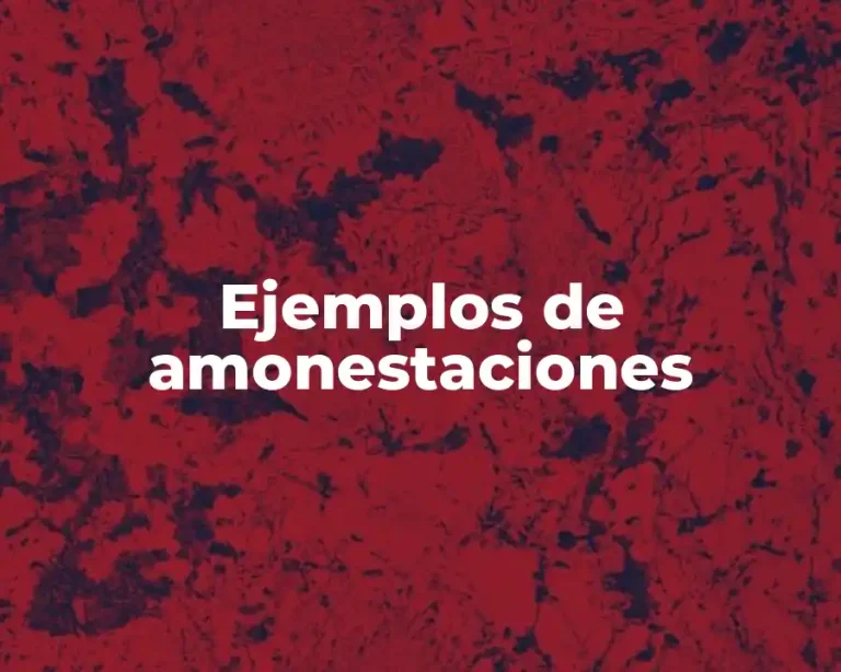 Ejemplos de amonestaciones