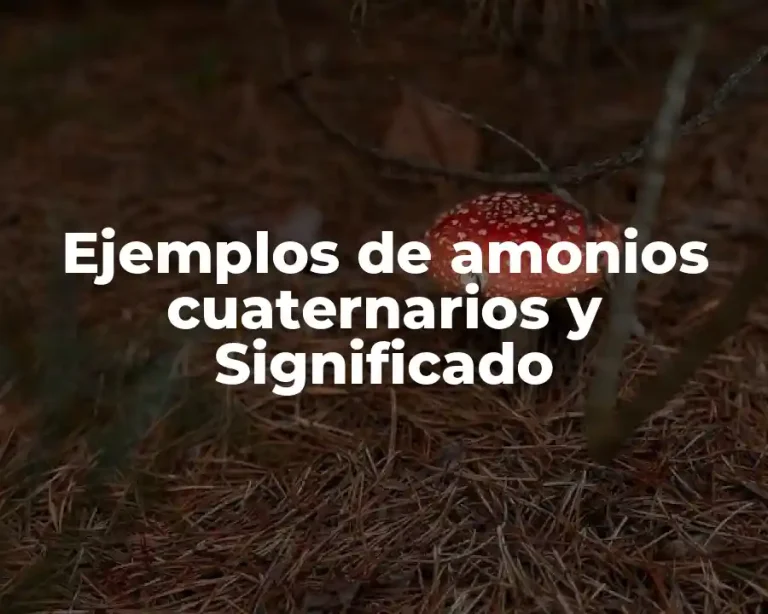 Ejemplos de amonios cuaternarios y Significado