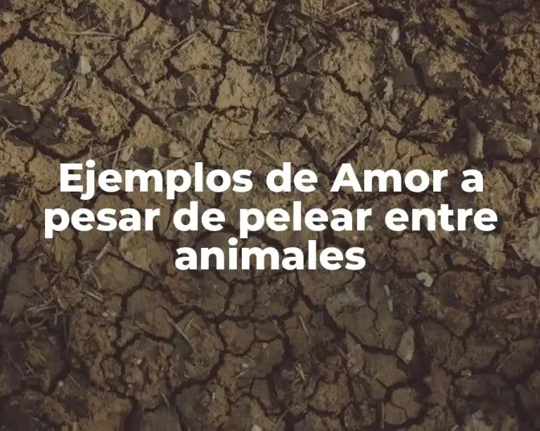 Ejemplos de Amor a pesar de pelear entre animales