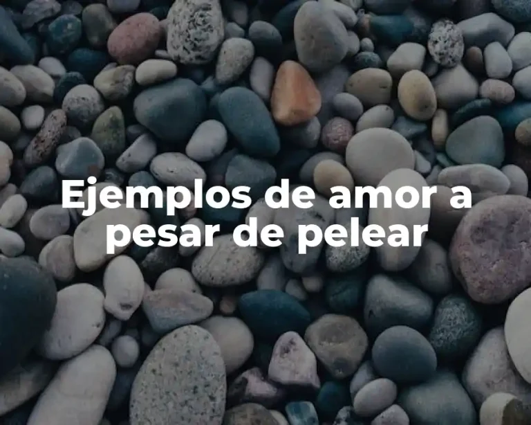 Ejemplos de amor a pesar de pelear