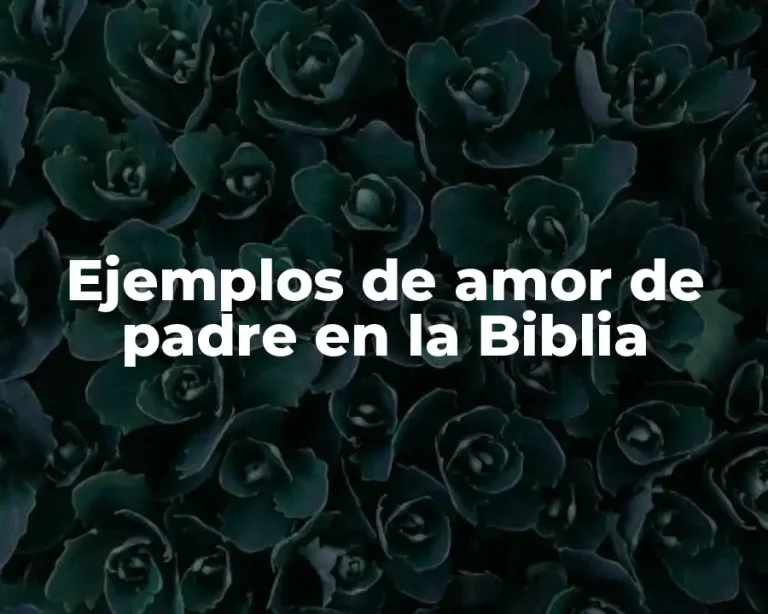 Ejemplos de amor de padre en la Biblia