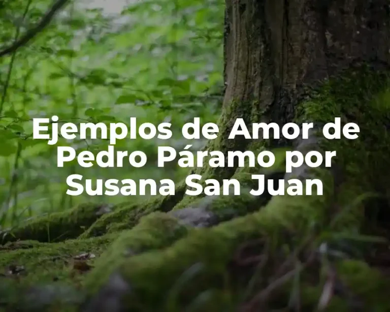 Ejemplos de Amor de Pedro Páramo por Susana San Juan