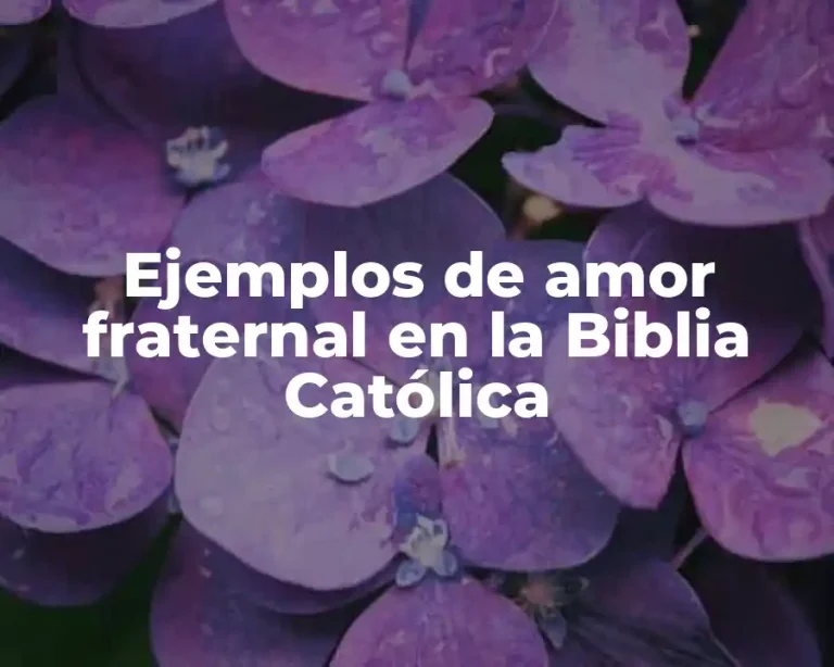 Ejemplos de amor fraternal en la Biblia Católica