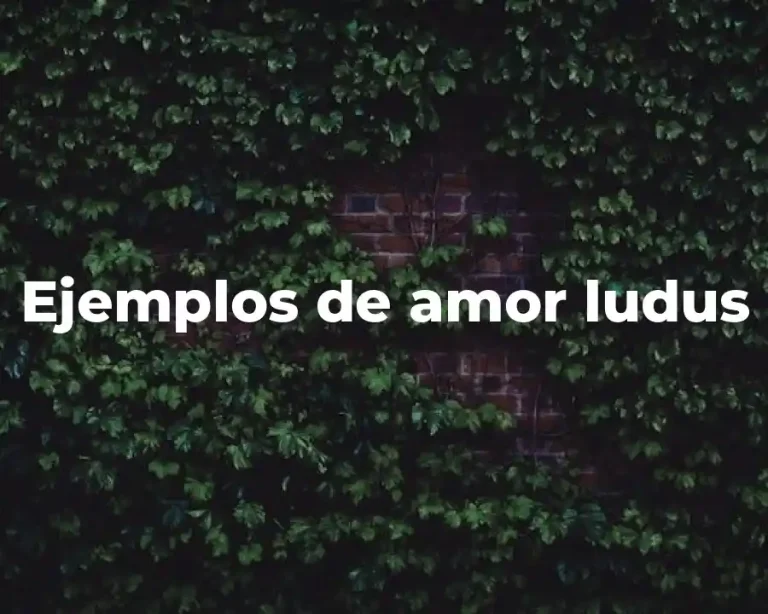 Ejemplos de amor ludus