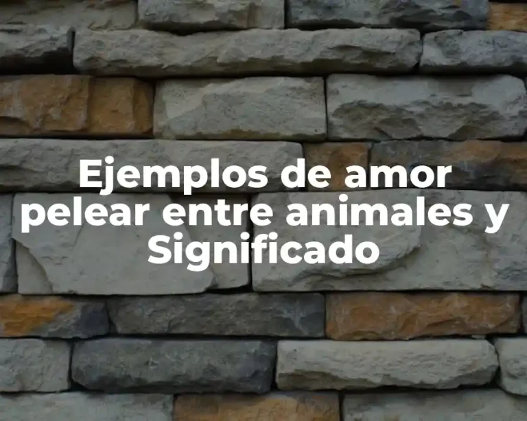 Ejemplos de amor pelear entre animales y Significado