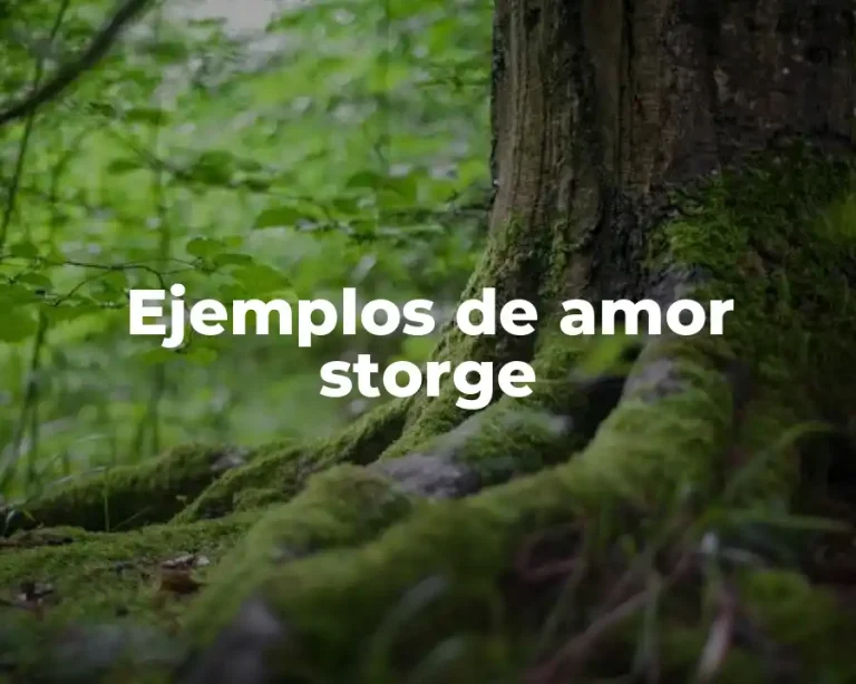 Ejemplos de amor storge