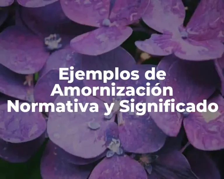 Ejemplos de Amornización Normativa y Significado