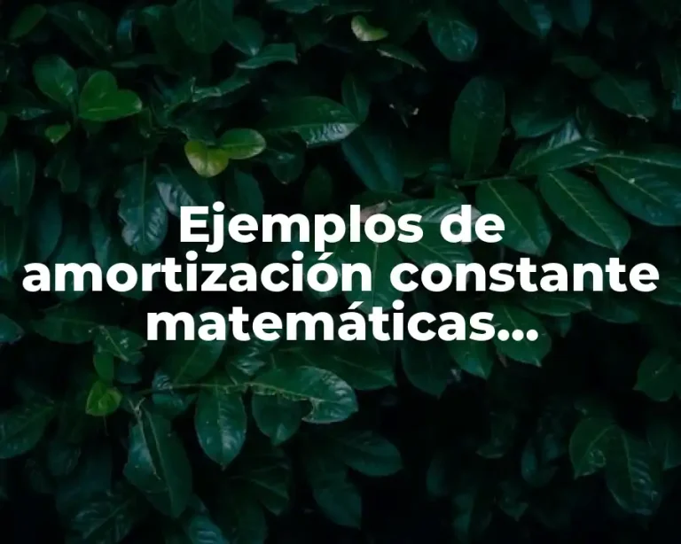 Ejemplos de amortización constante matemáticas financieras y Significado
