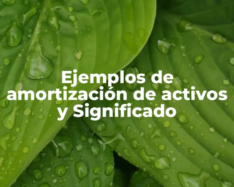 Ejemplos de amortización de activos y Significado