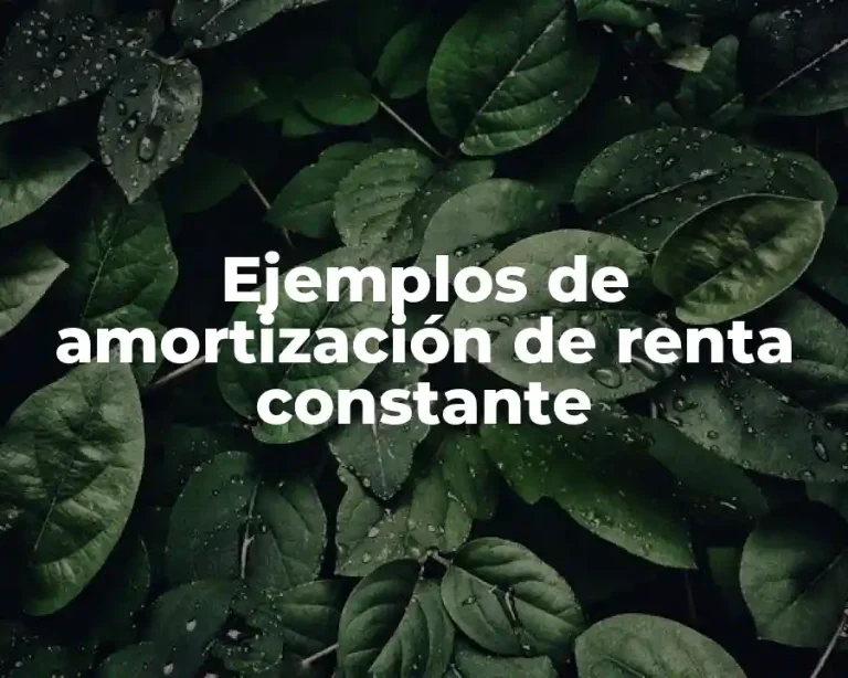Ejemplos de amortización de renta constante