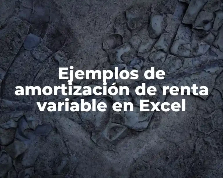 Ejemplos de amortización de renta variable en Excel
