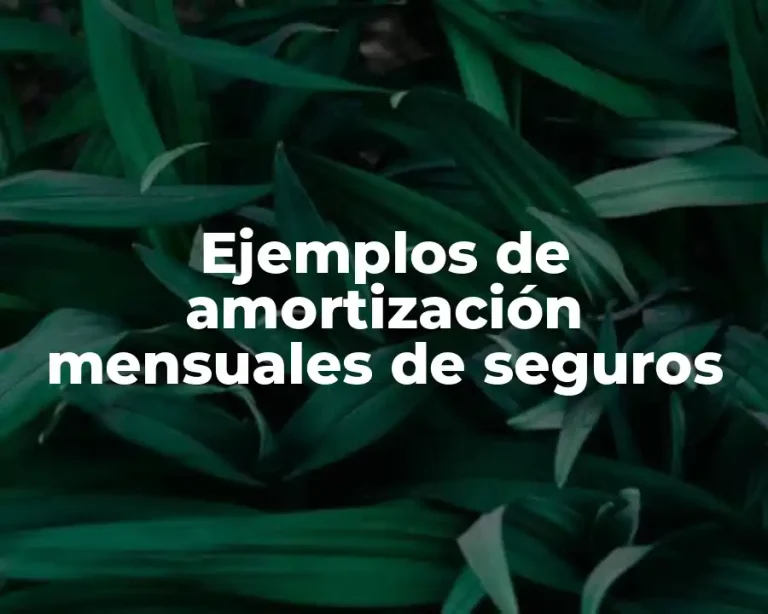 Ejemplos de amortización mensuales de seguros