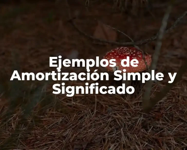 Ejemplos de Amortización Simple y Significado