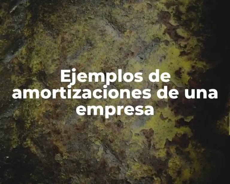 Ejemplos de amortizaciones de una empresa