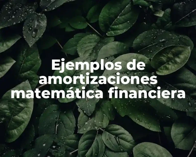 Ejemplos de amortizaciones matemática financiera