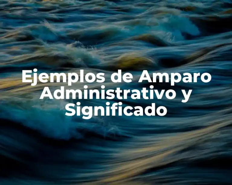 Ejemplos de Amparo Administrativo y Significado