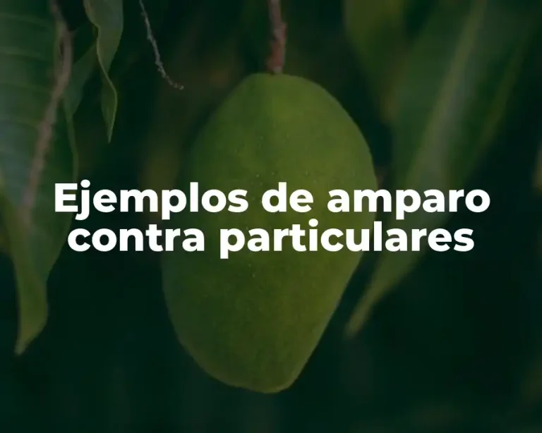 Ejemplos de amparo contra particulares