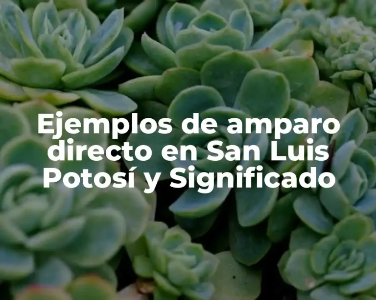 Ejemplos de amparo directo en San Luis Potosí y Significado
