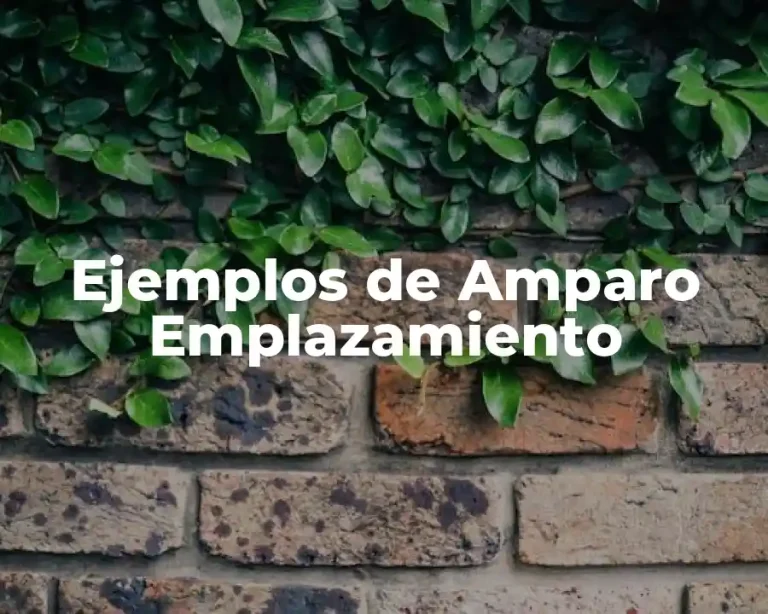 Ejemplos de Amparo Emplazamiento