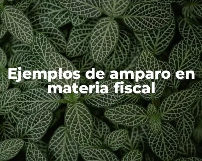 Ejemplos de amparo en materia fiscal