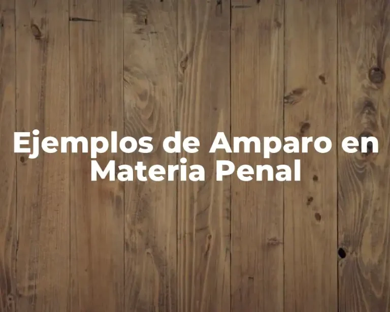 Ejemplos de Amparo en Materia Penal