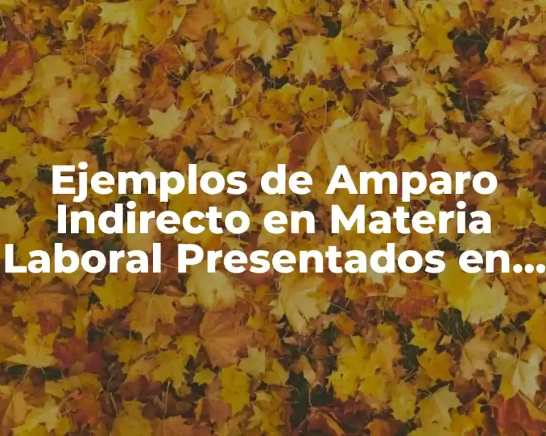 Ejemplos de Amparo Indirecto en Materia Laboral Presentados en Sinaloa