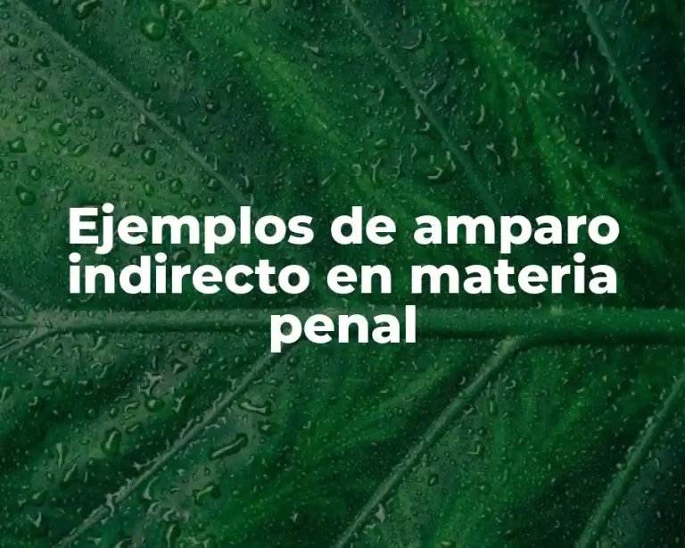 Ejemplos de amparo indirecto en materia penal