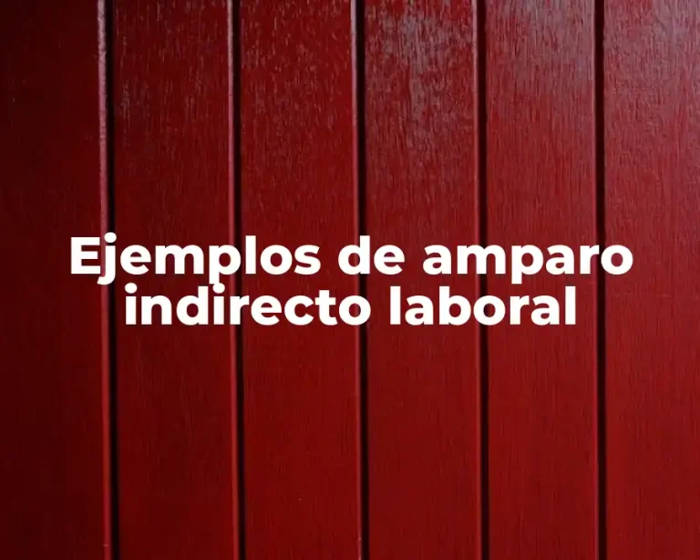 Ejemplos de amparo indirecto laboral