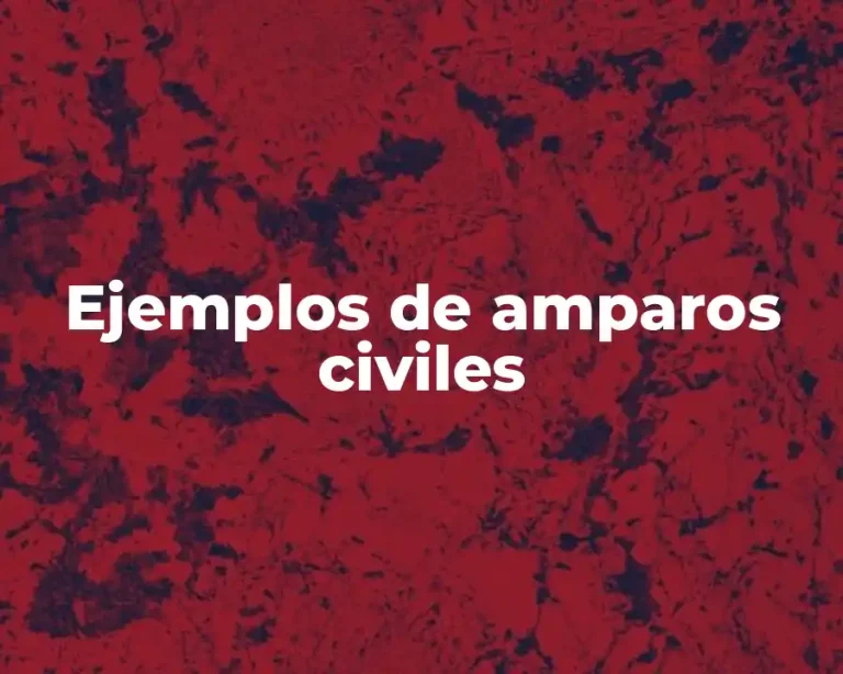 Ejemplos de amparos civiles