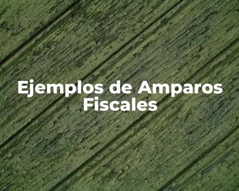 Ejemplos de Amparos Fiscales