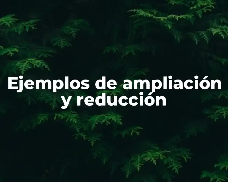 Ejemplos de ampliación y reducción