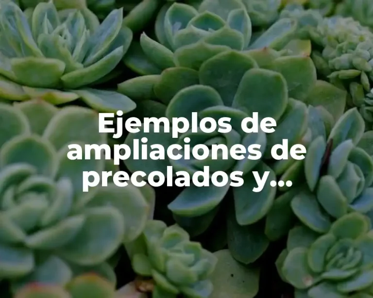 Ejemplos de ampliaciones de precolados y Significado