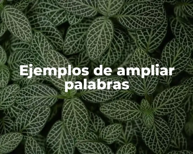Ejemplos de ampliar palabras