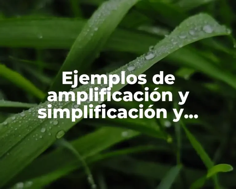 Ejemplos de amplificación y simplificación y Significado
