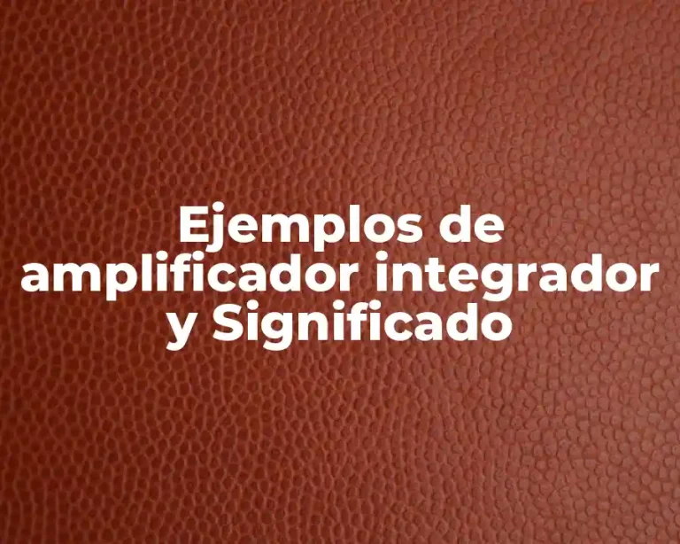 Ejemplos de amplificador integrador y Significado