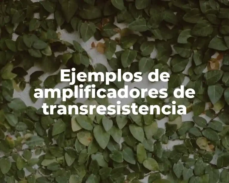 Ejemplos de amplificadores de transresistencia
