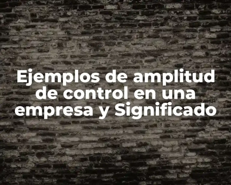 Ejemplos de amplitud de control en una empresa y Significado